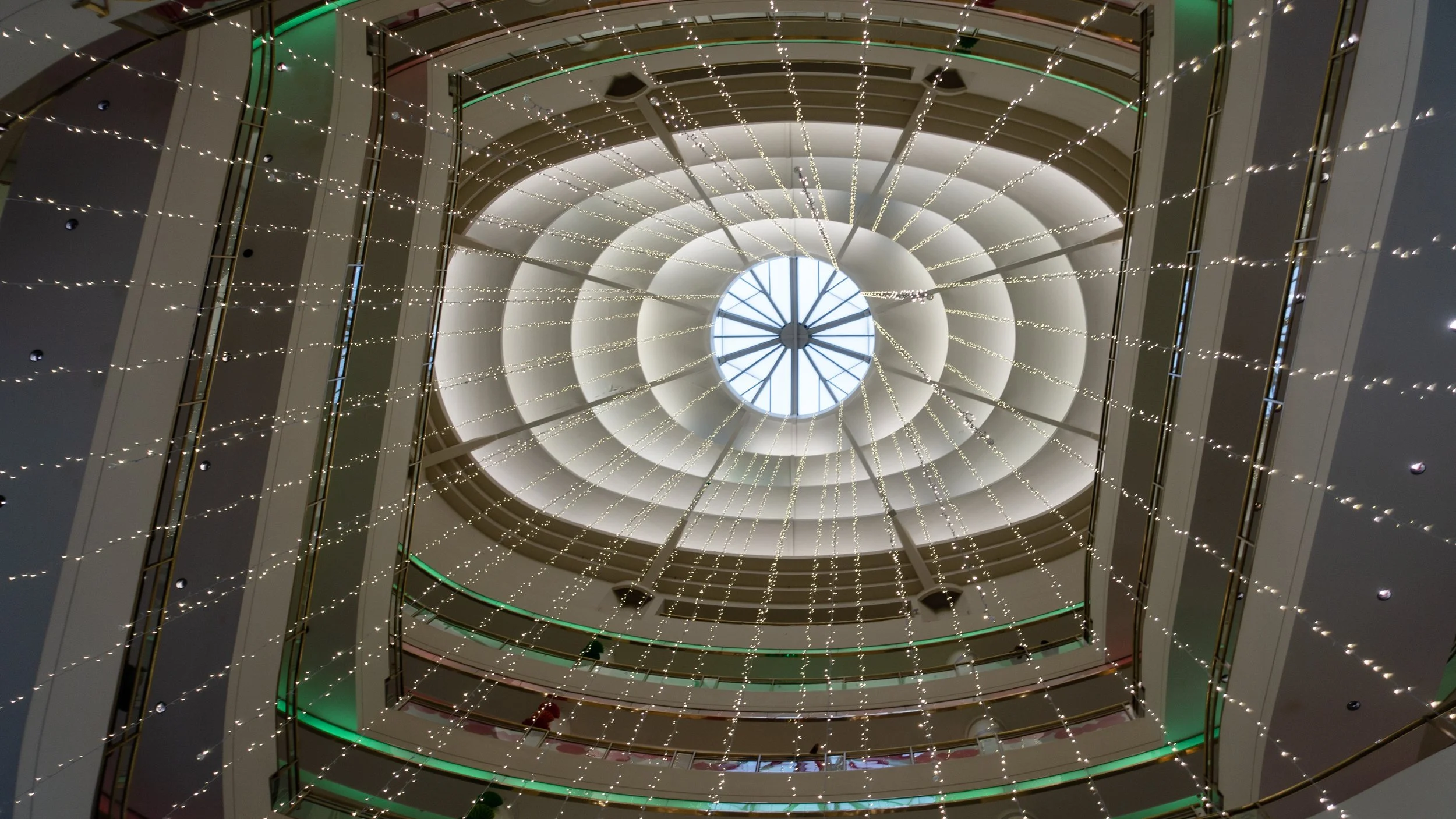 12262022DSC07387SF.jpg