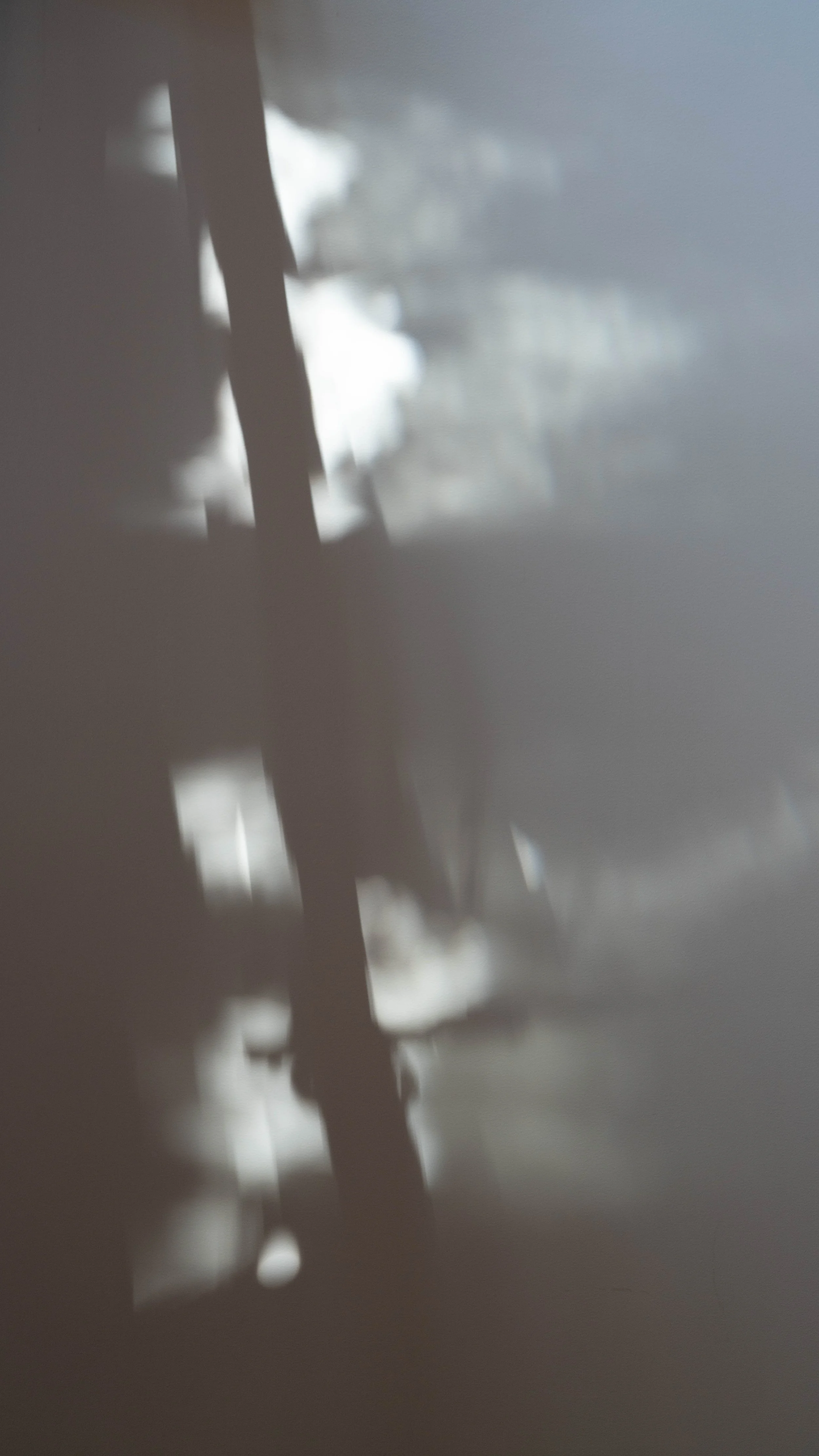 05152023DSE08294SF.jpg