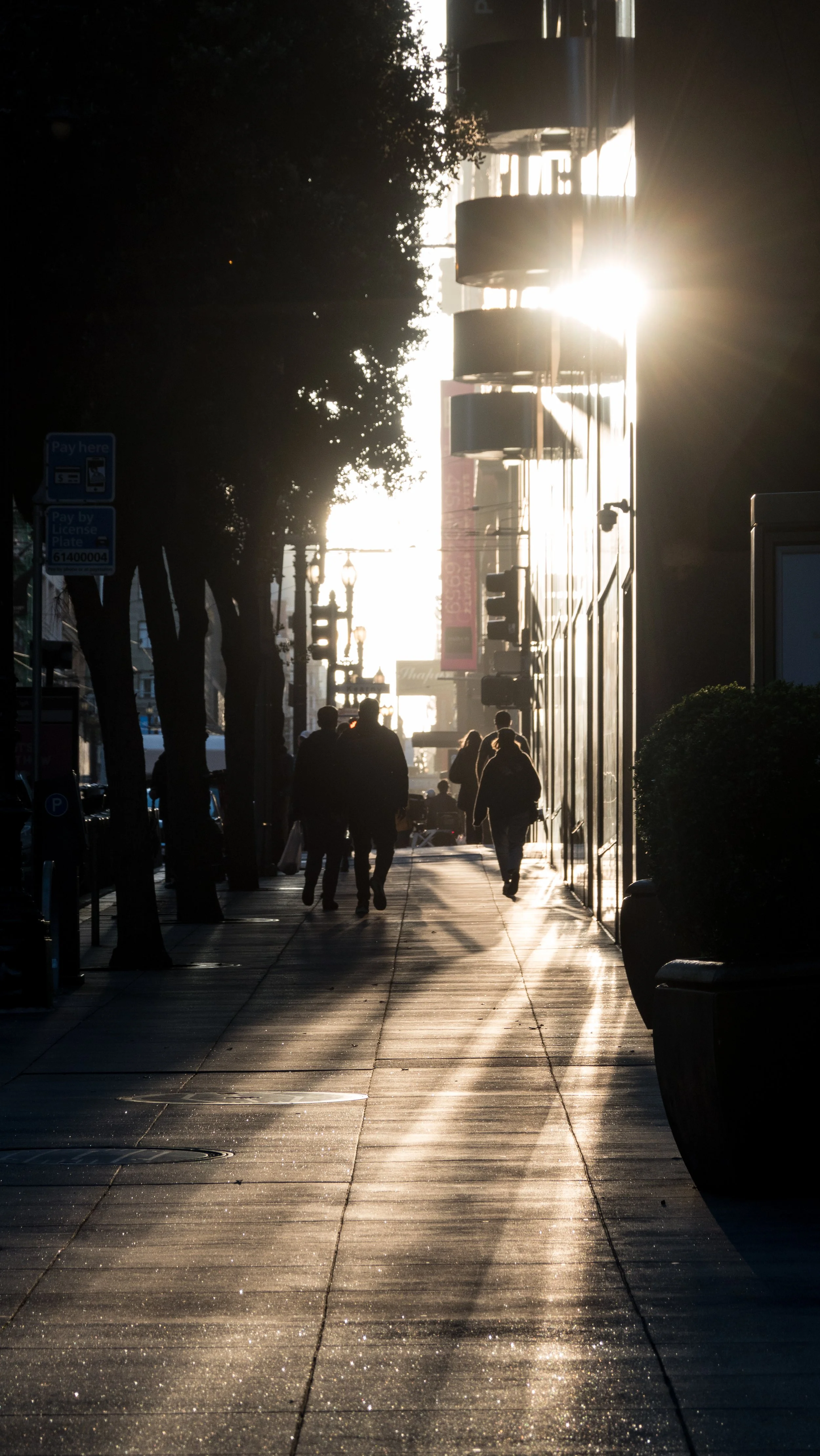 03062024DSC02079SF.jpg