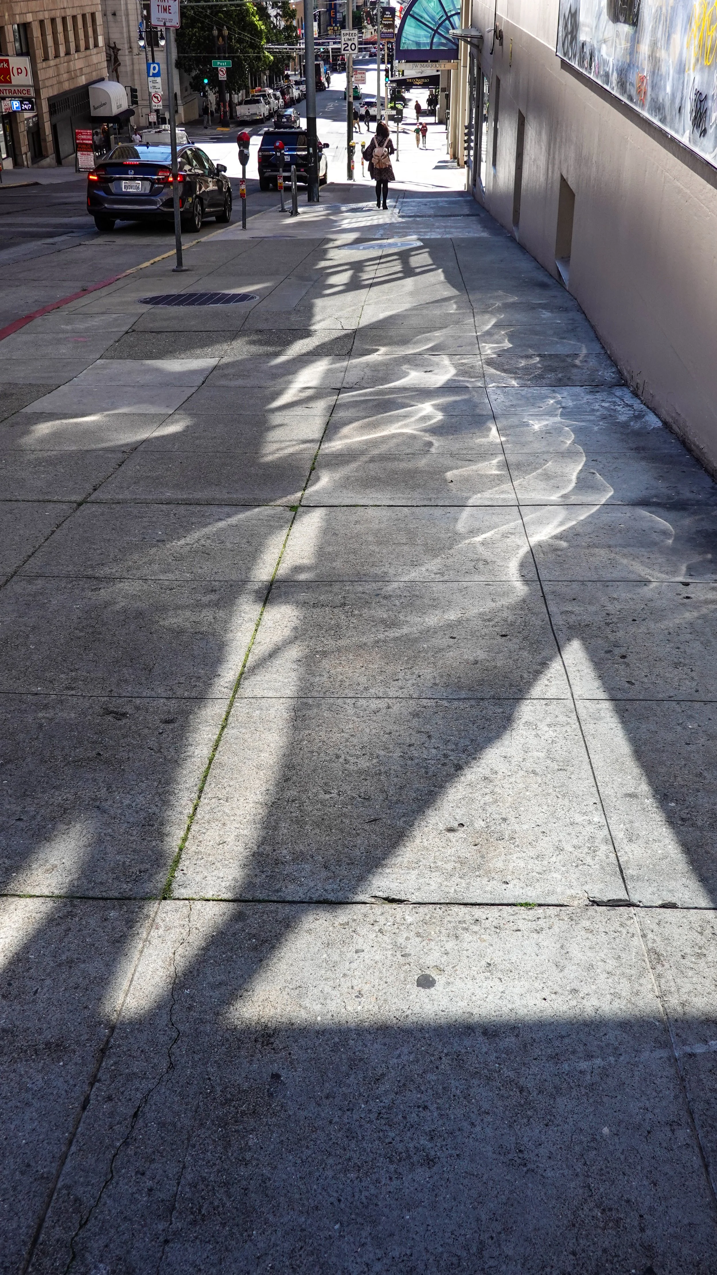 03152024DSC02133SF.jpg