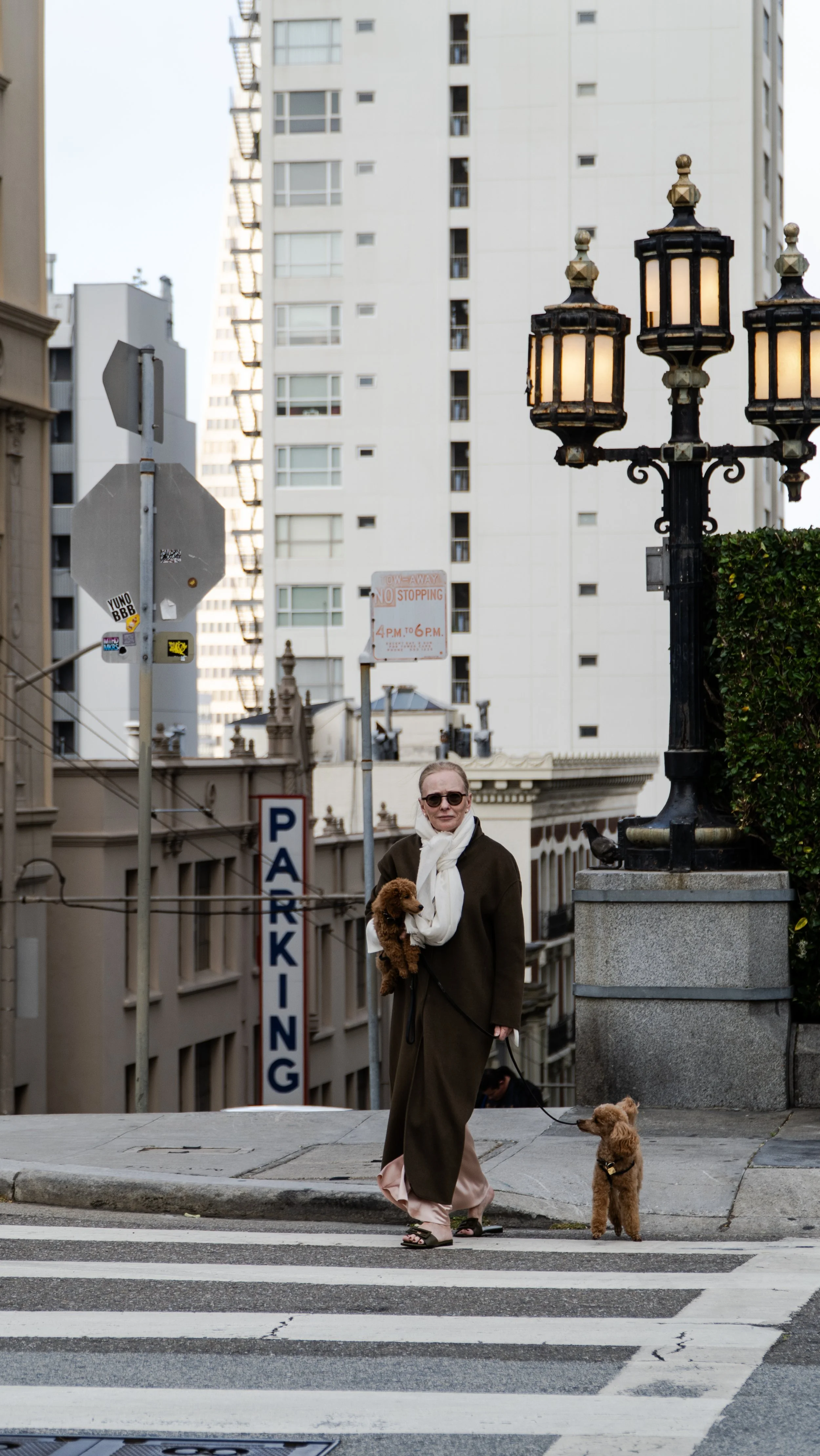 06252025DSC05102SF.jpg