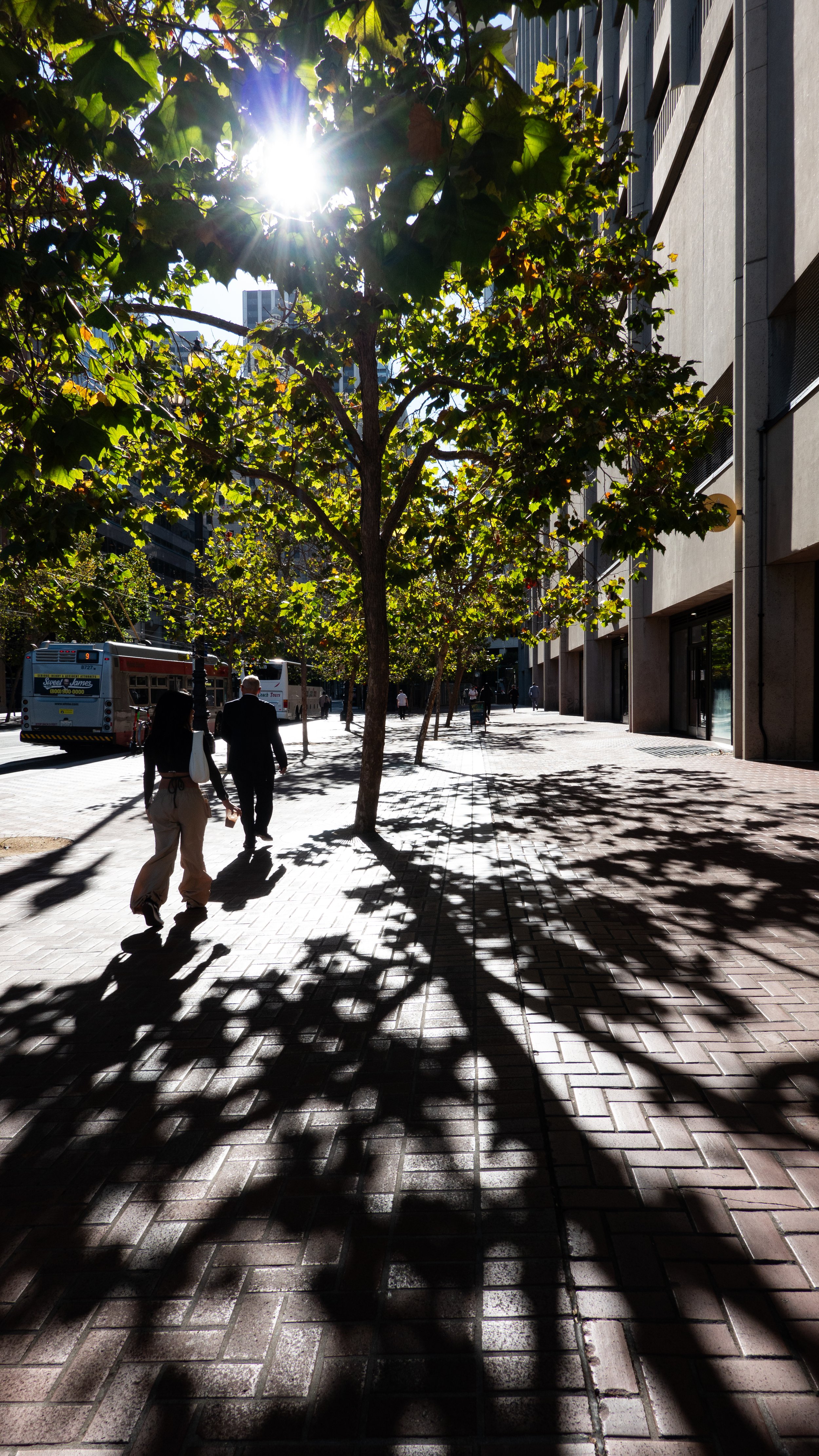11072024DSC03852SF.jpg