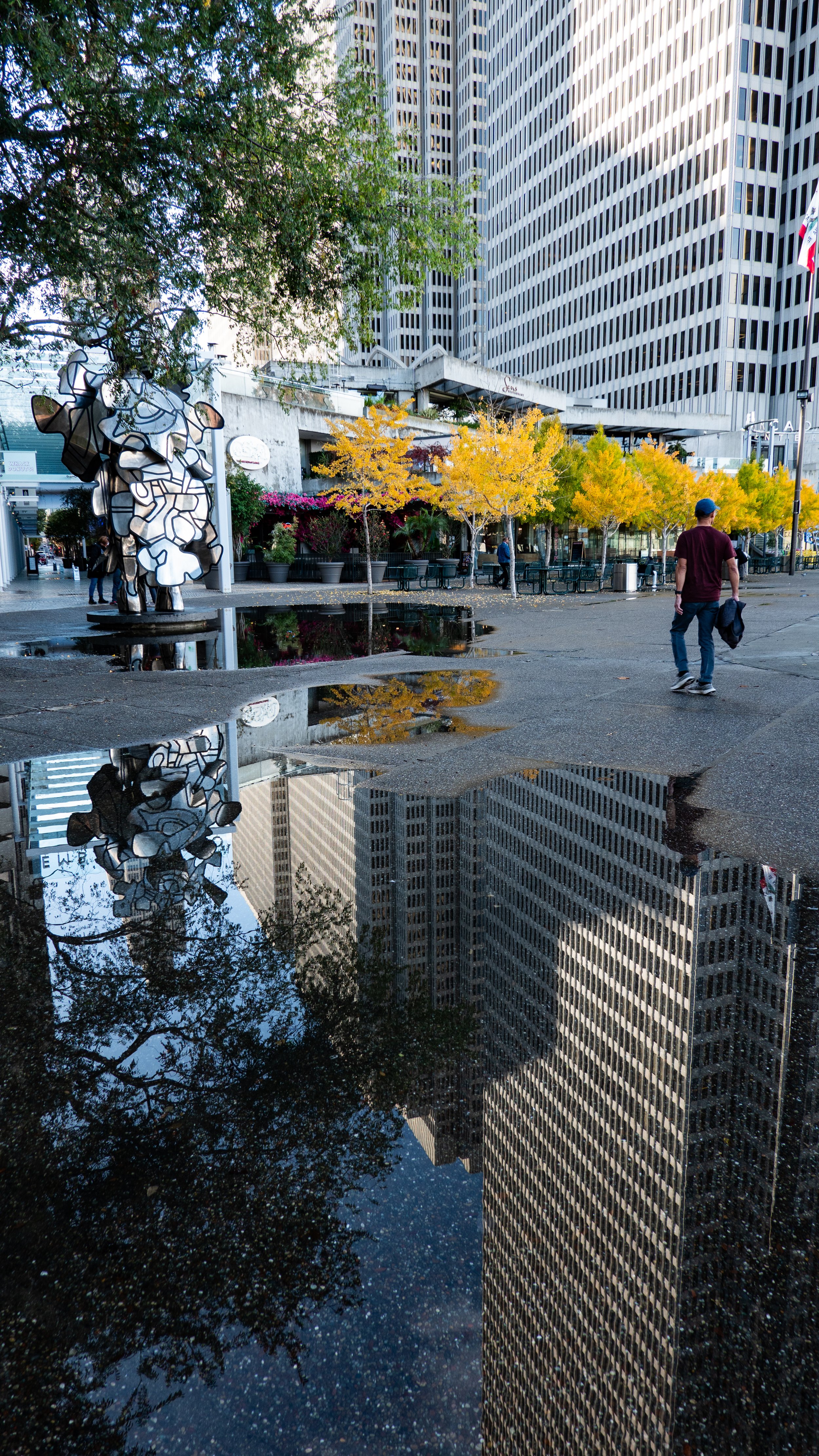 11142024DSC03974SF.jpg