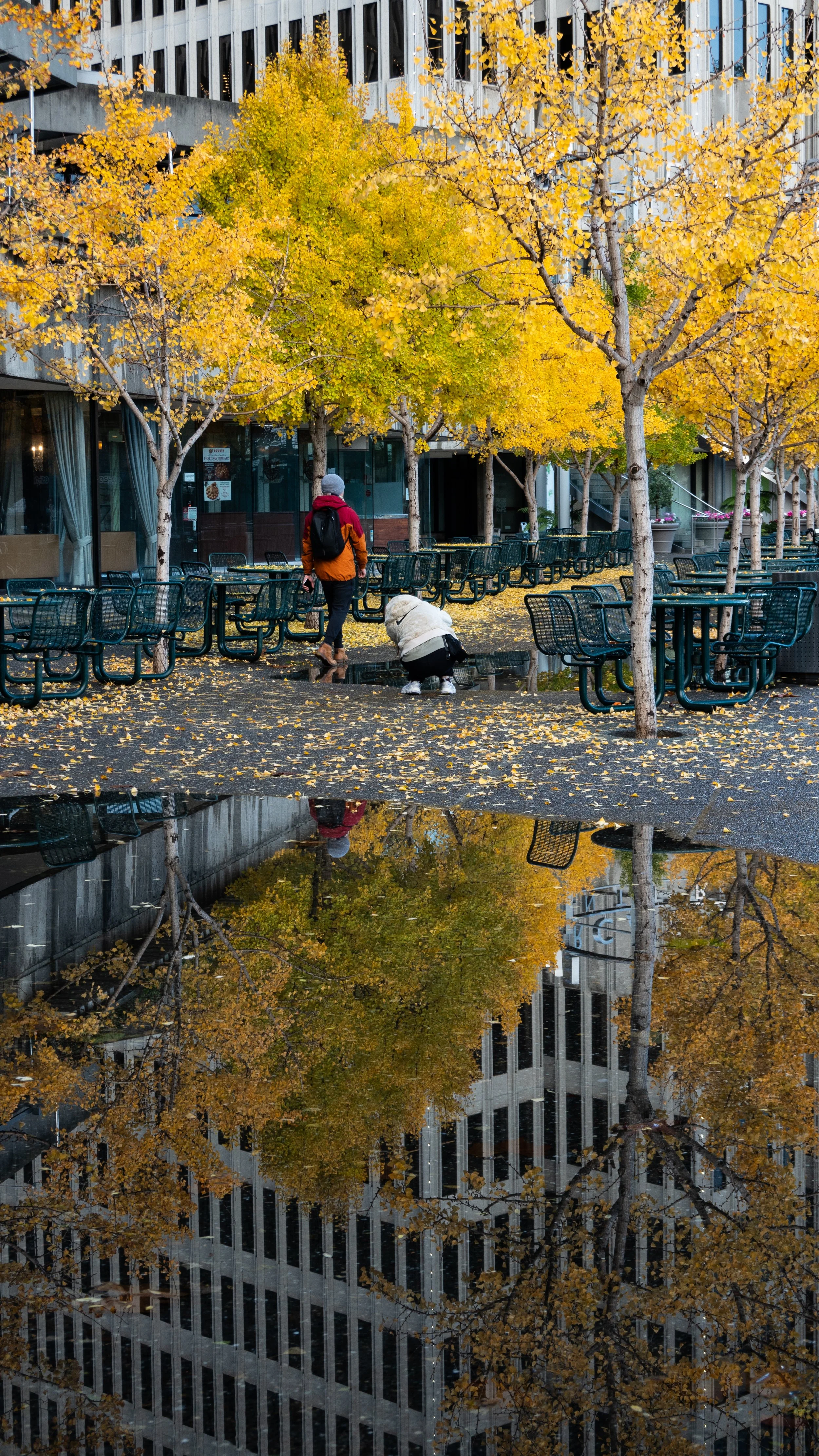 11232024DSC04006SF.jpg
