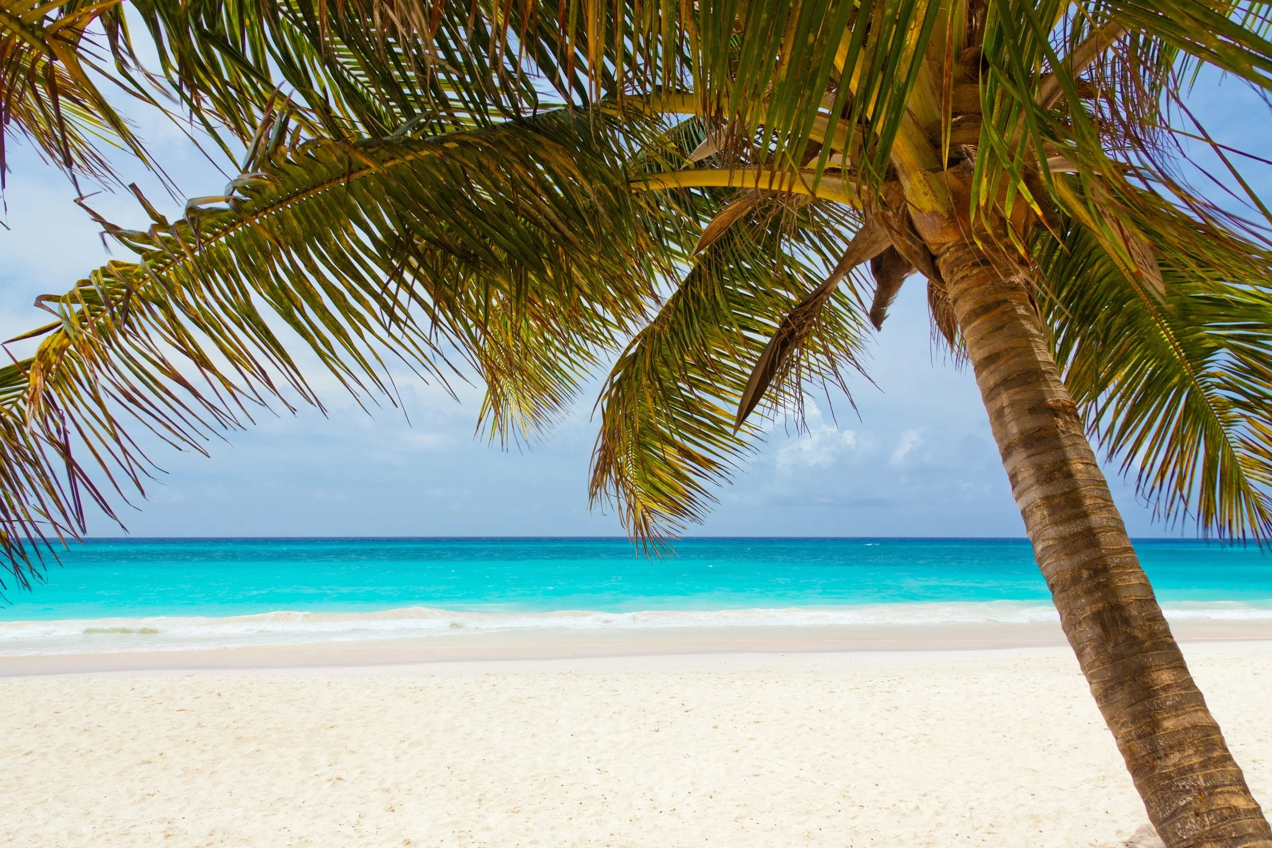 beach-beautiful-blue-coast-40976.jpeg