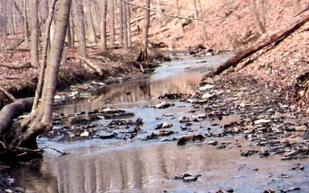 Peters Creek<Br>Watershed Association
