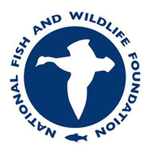 Five Star and Urban Waters Restoration Grant Program
