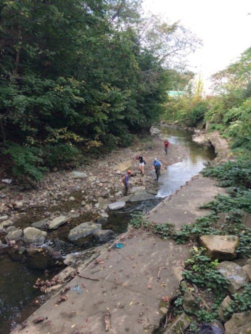 Penn State Master Watershed Stewards checking out Saw Mill Run with the Water Reporter App.