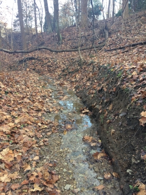 Streambank erosion. Stuff we want to know about!