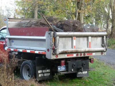 Removing trash from streams is important AND fun.