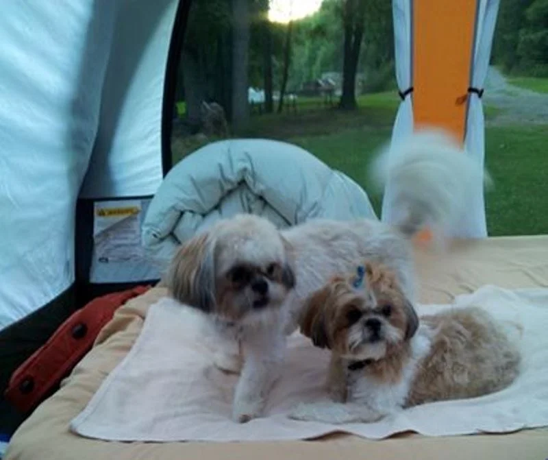 Colonel Marshall & Princess Grace