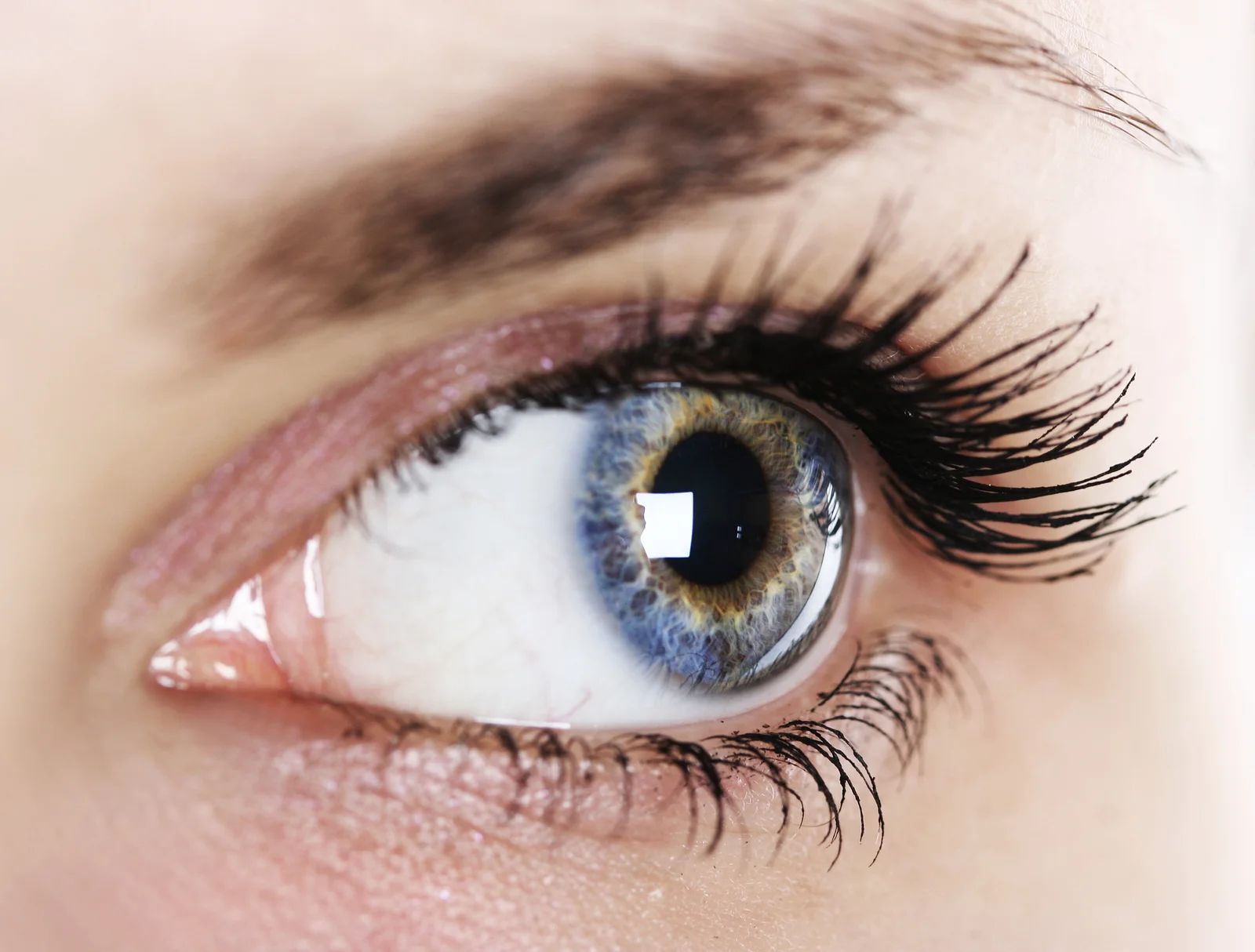 Iridology