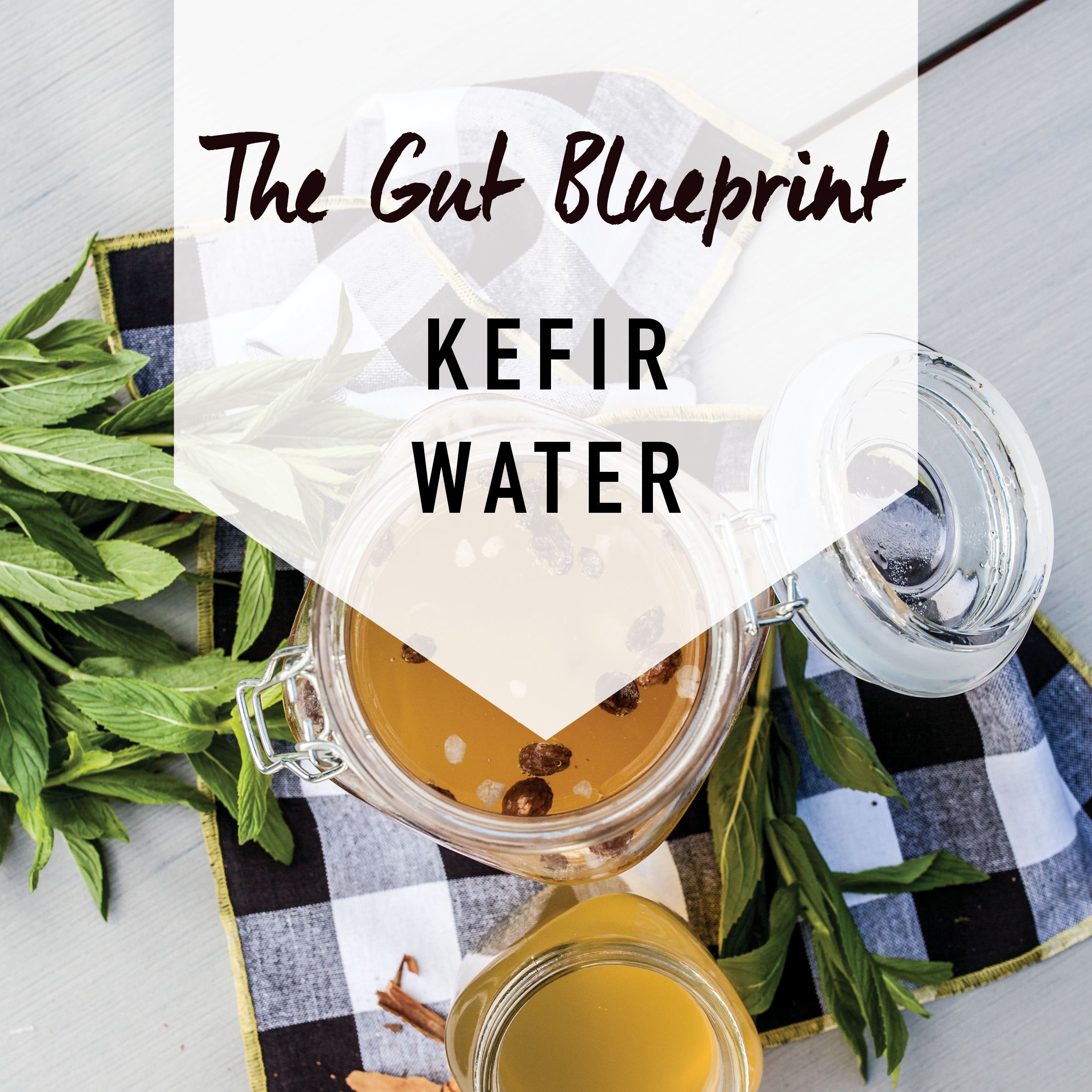 Kefir Water recipe image.jpg