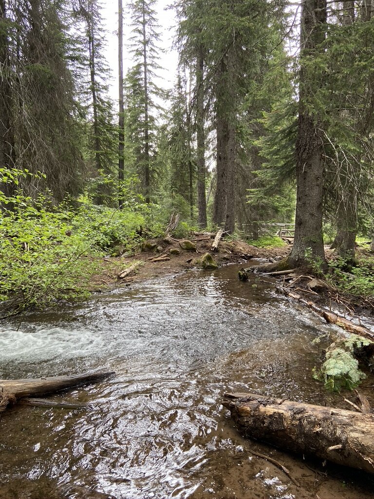 Hiking to Minam River Lodge — SEE and EAT