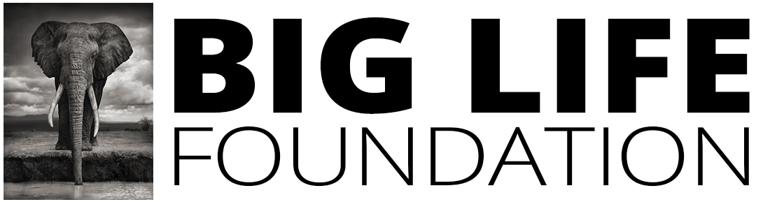 logo-horizontal-01-1100w.png