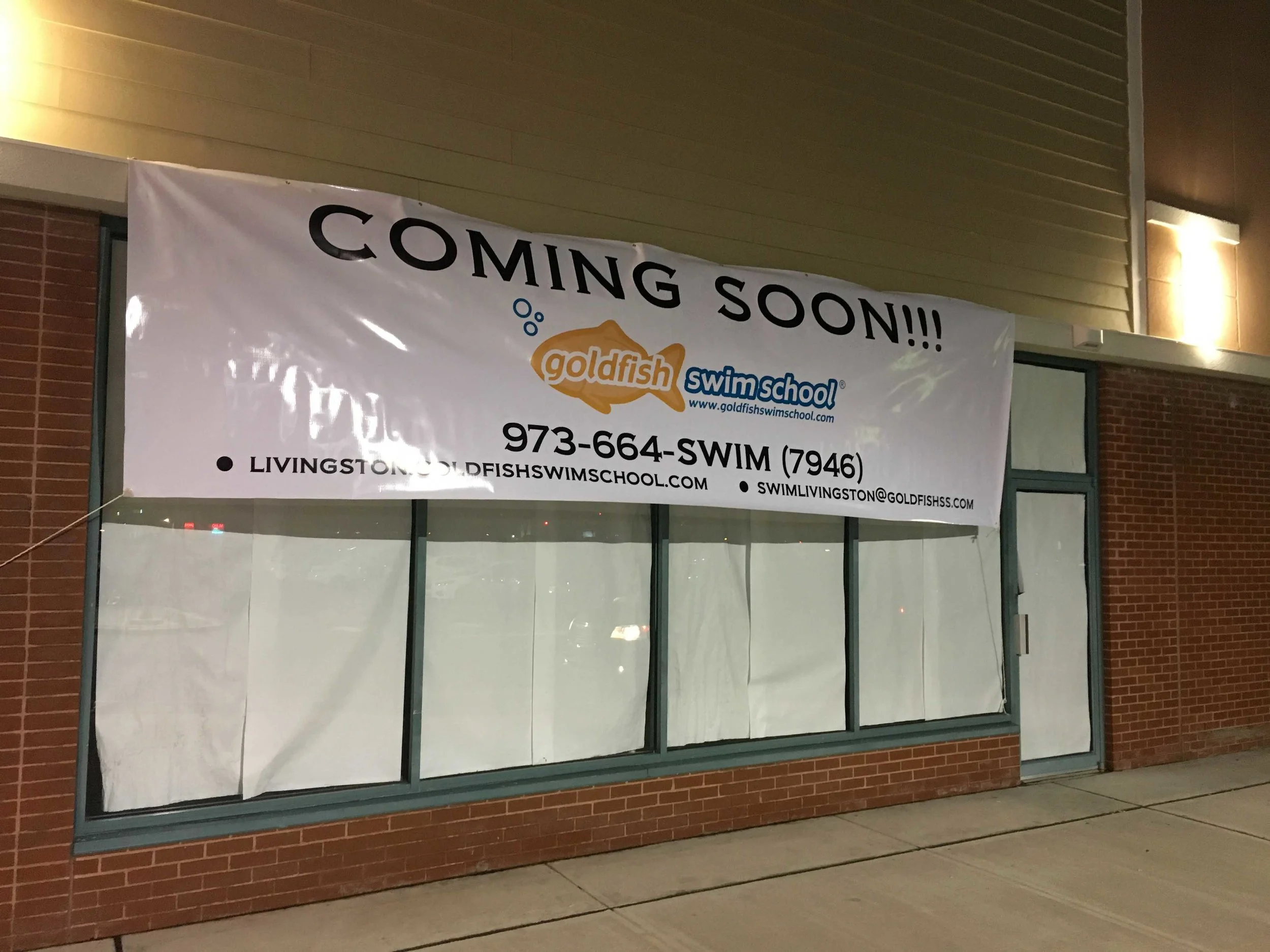 Goldfish Coming Soon.jpg