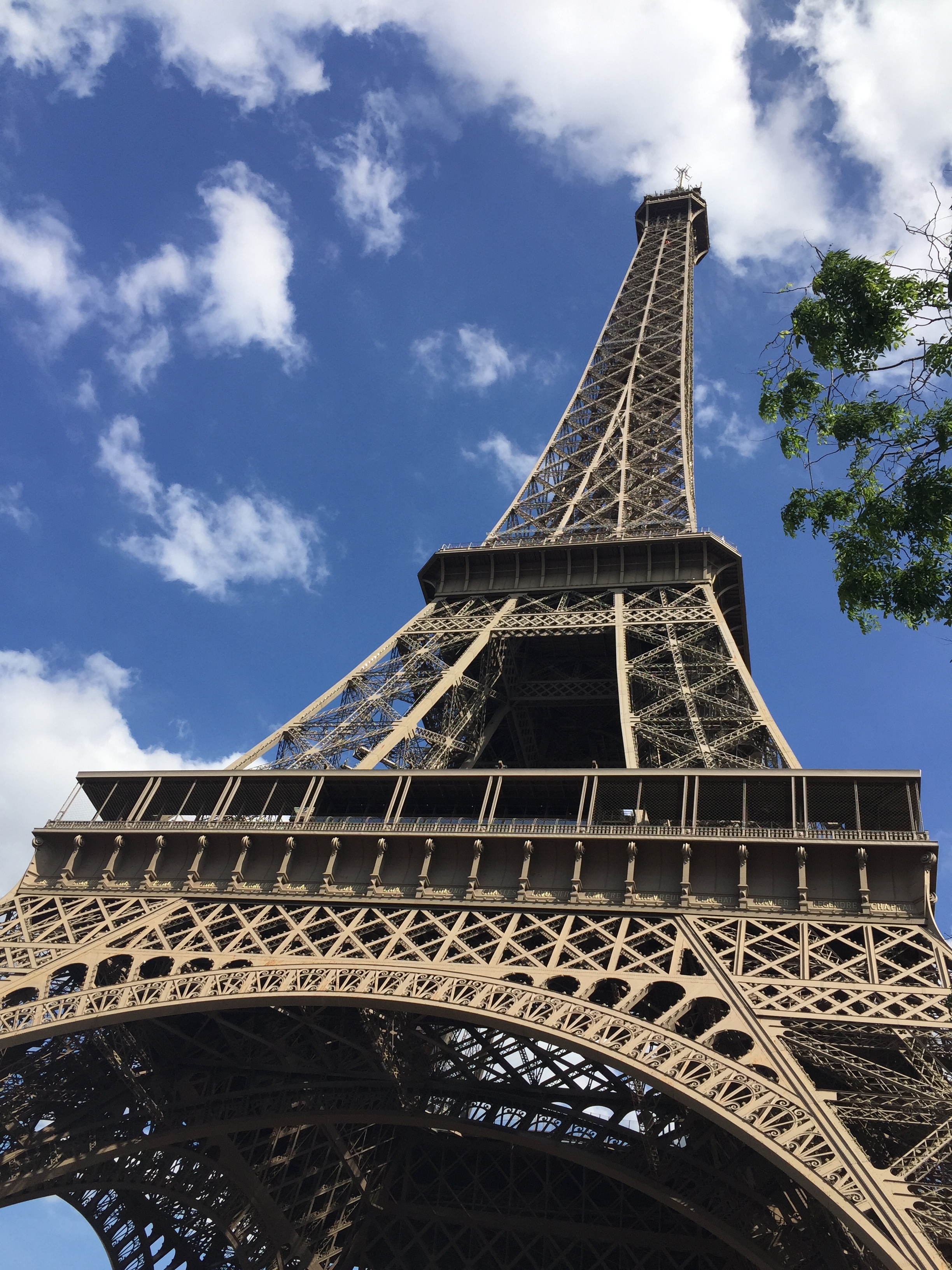 Gomez and I spent 4 hours lying under the Eiffel Tower, singing songs from Frozen, and stuffing ourselves with fresh bread and cheese. 