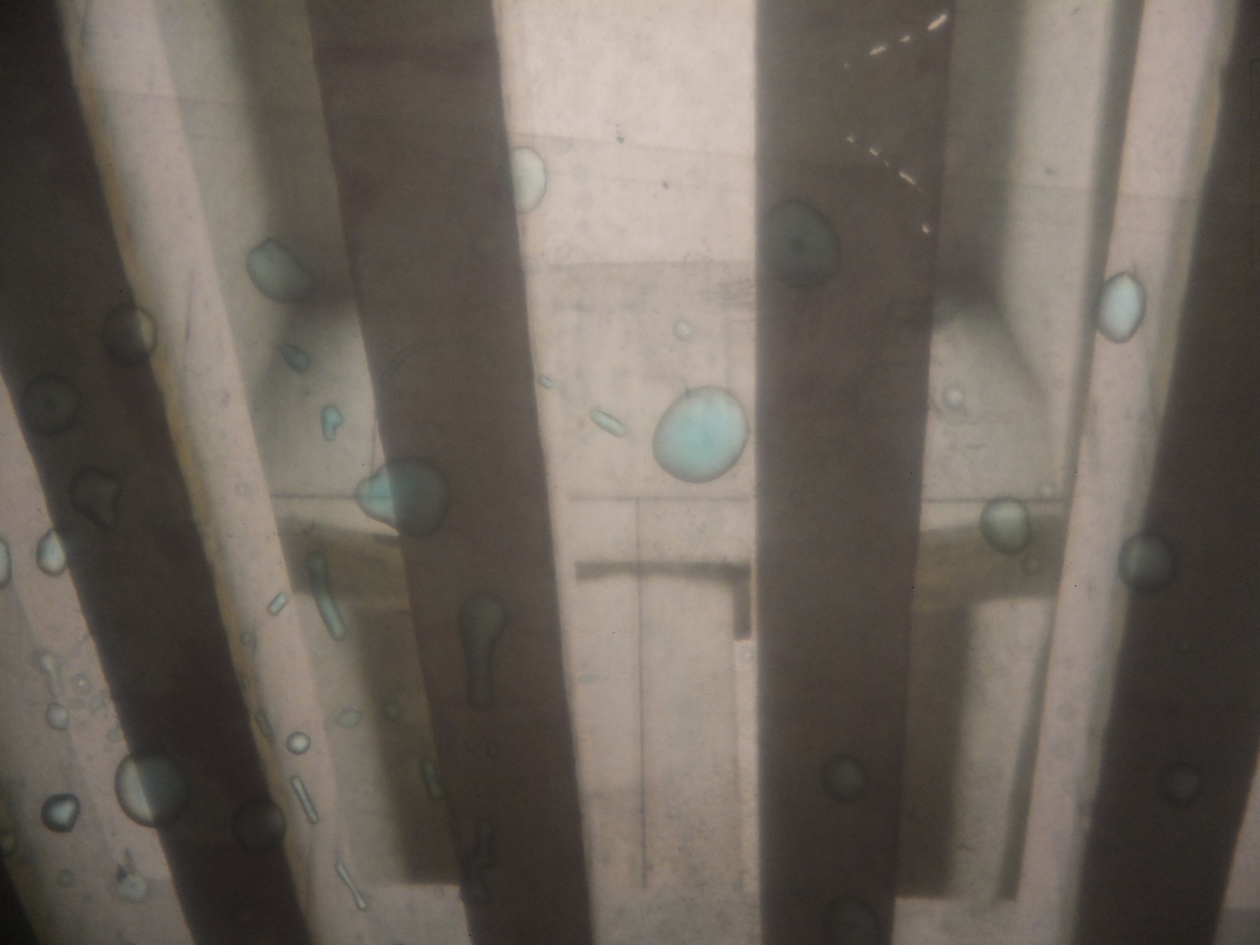 DSCF2638.JPG