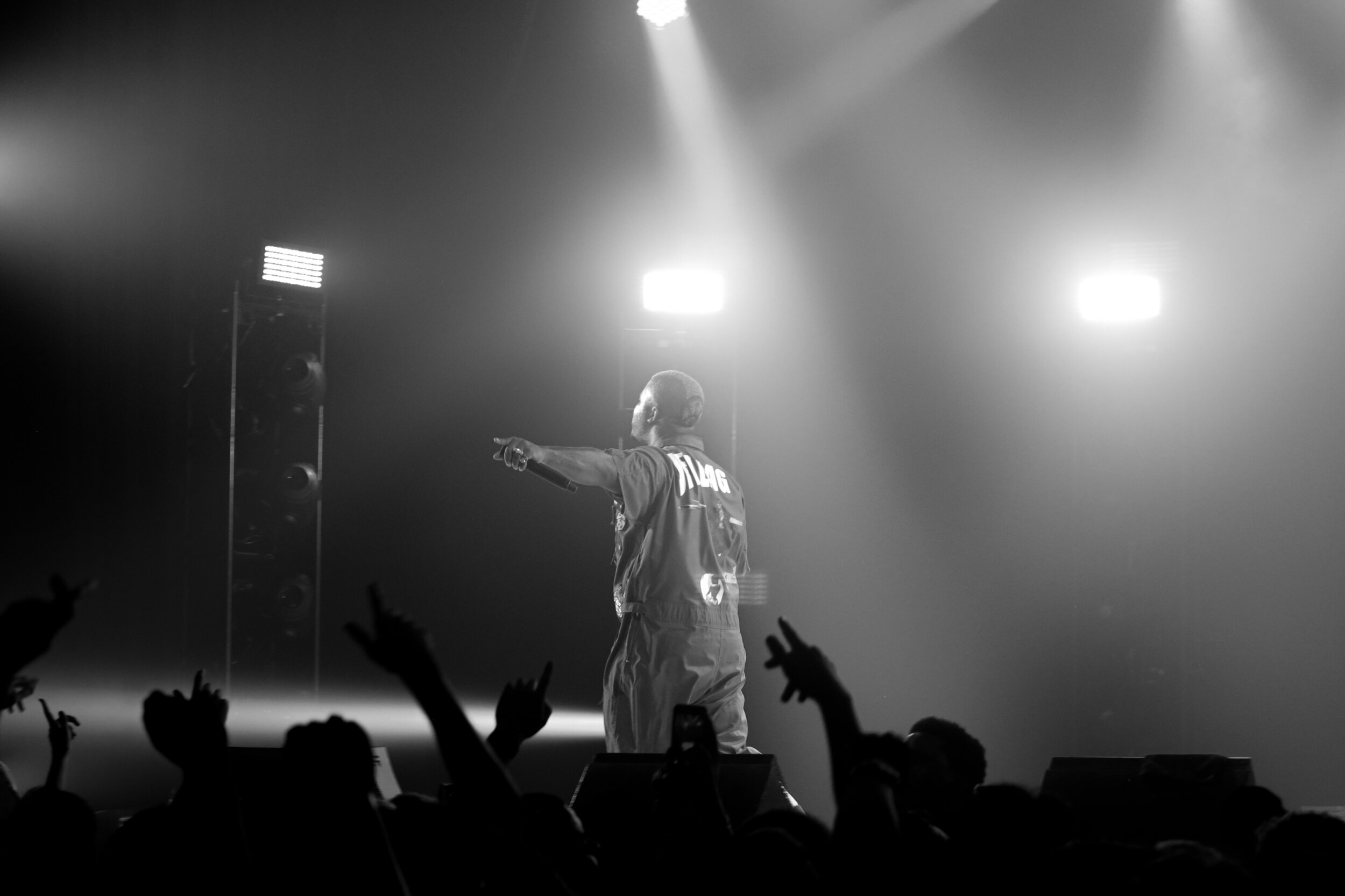 A$AP FERG_Back Shot w: Crowd.jpg