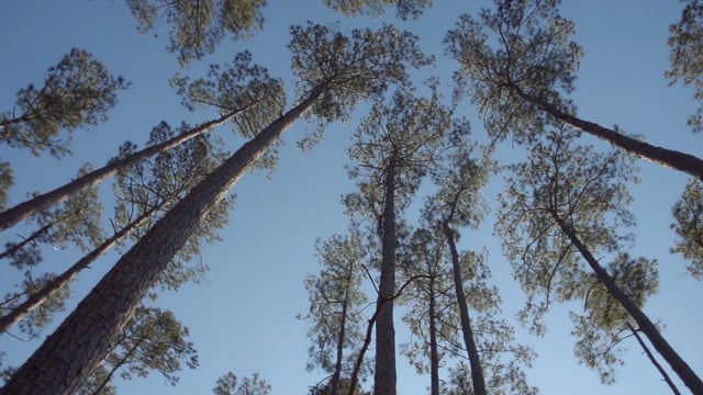 NPCA Big Thicket | Find Your Voice