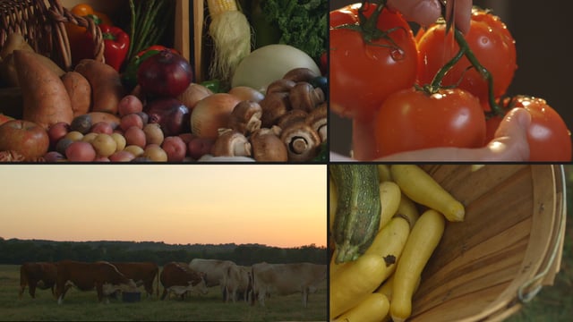 TDA | Farm Fresh Fridays