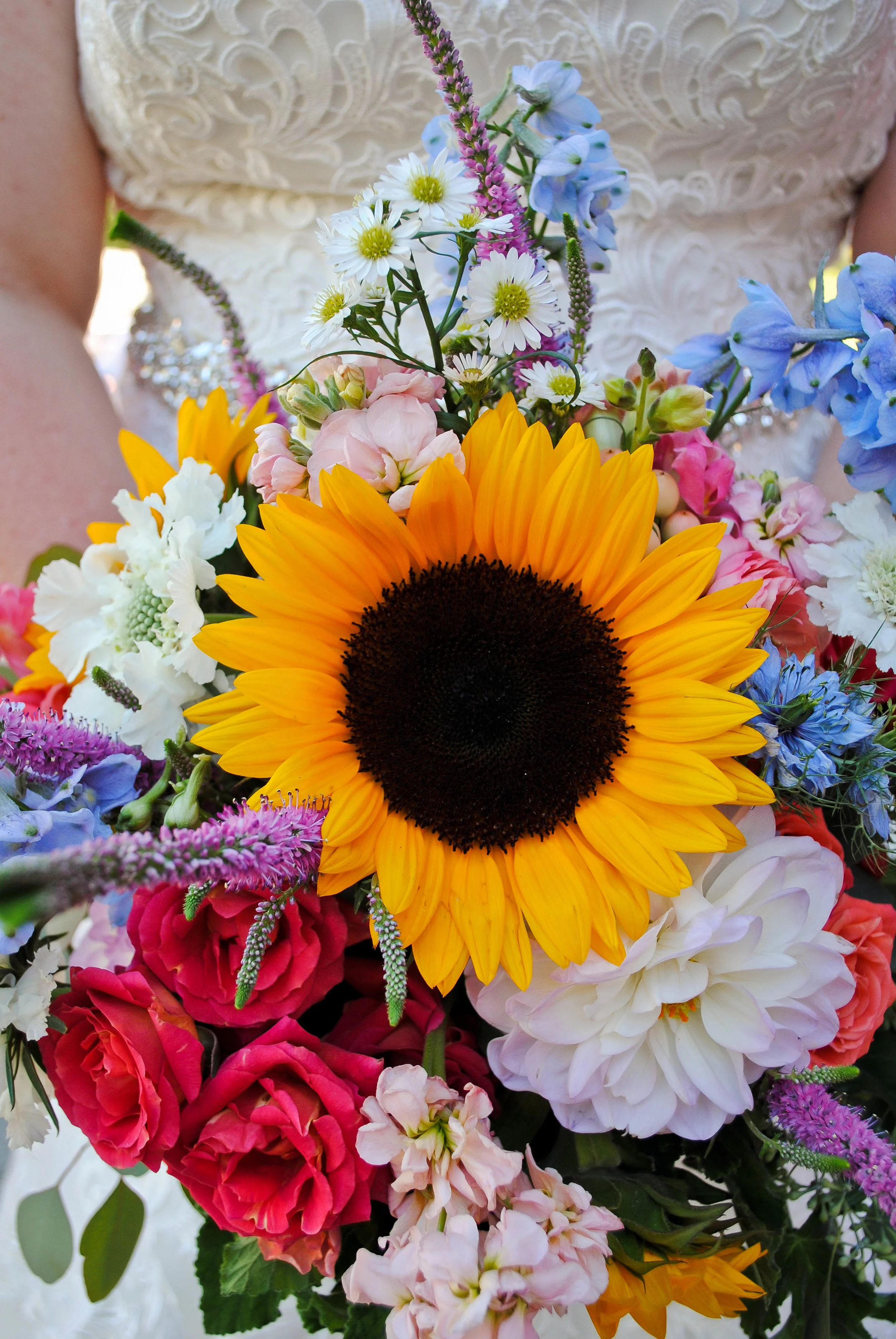richmondwedding211.jpg