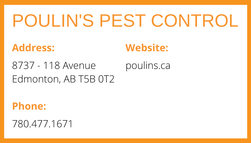 POULIN'S PEST.png