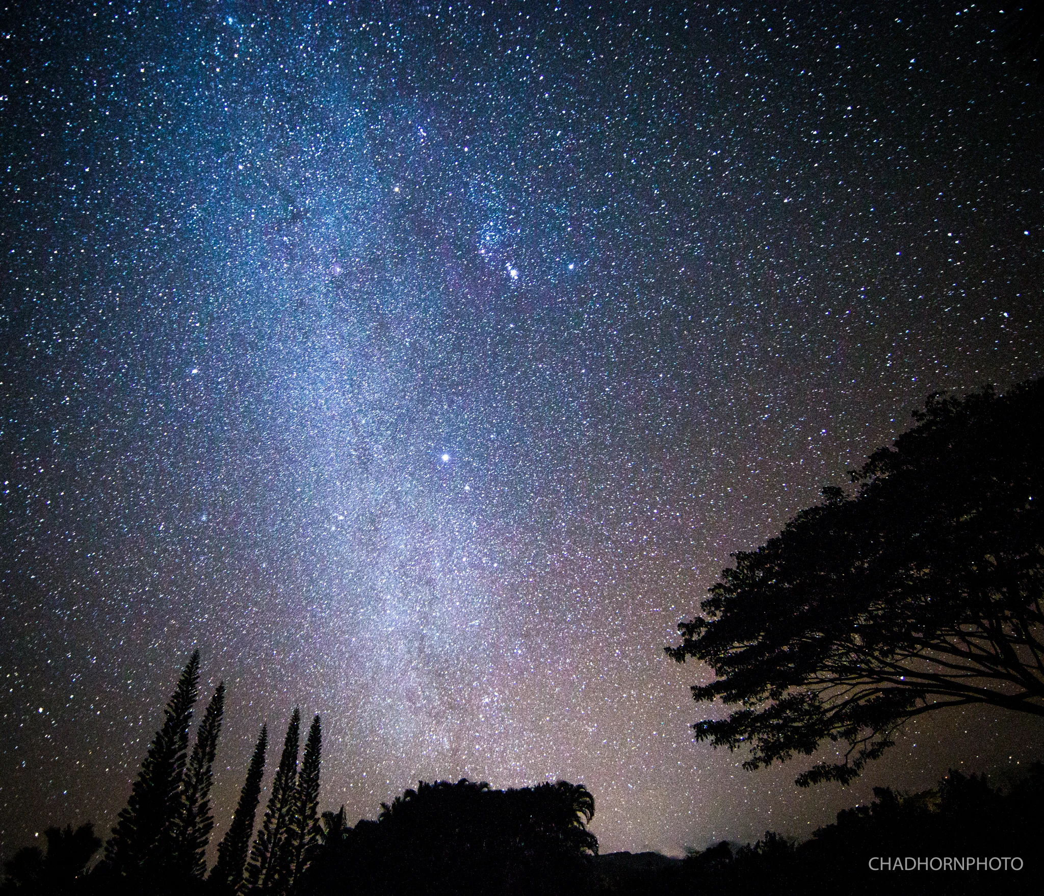 Kauai Stars.jpg