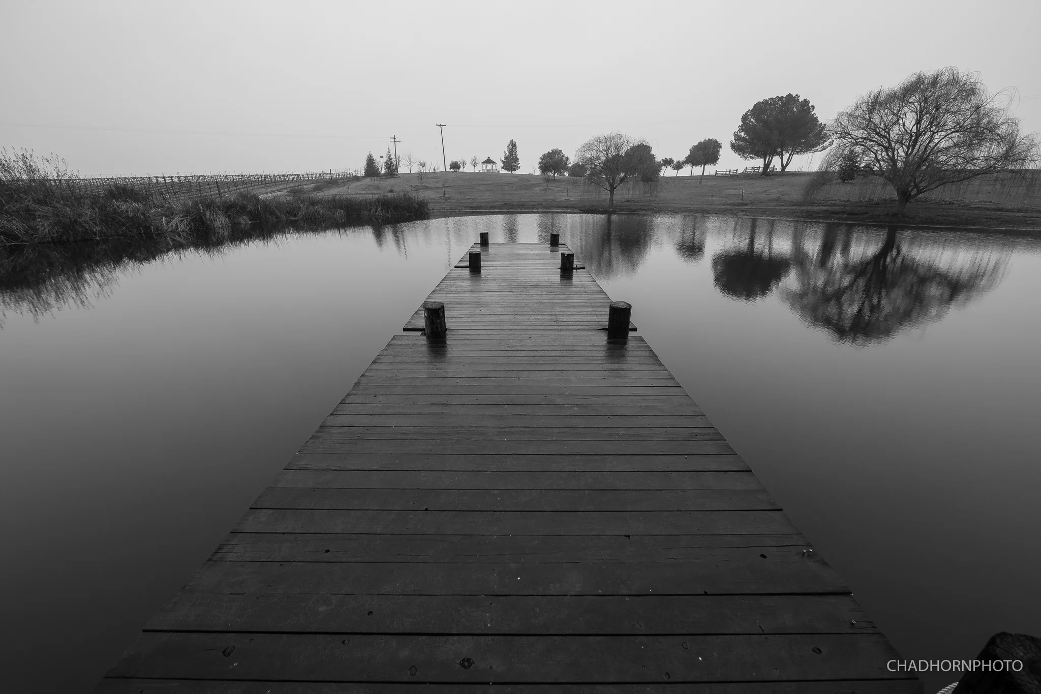 Pond.jpg