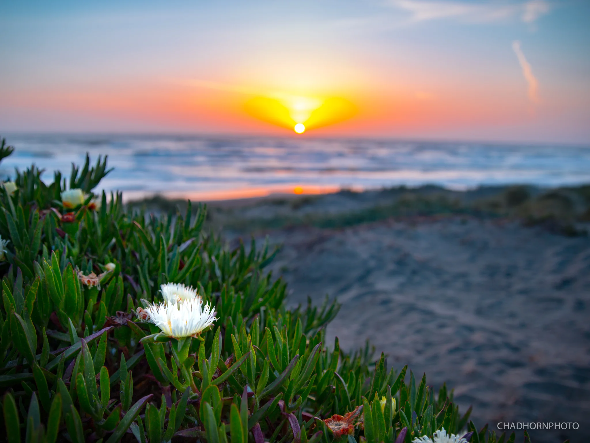 Ocean Beach.jpg
