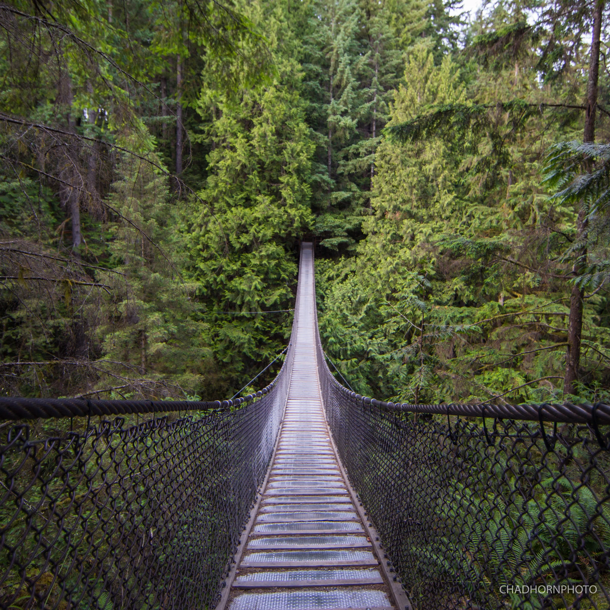 Lynn Canyon Suspension Bridge.jpg