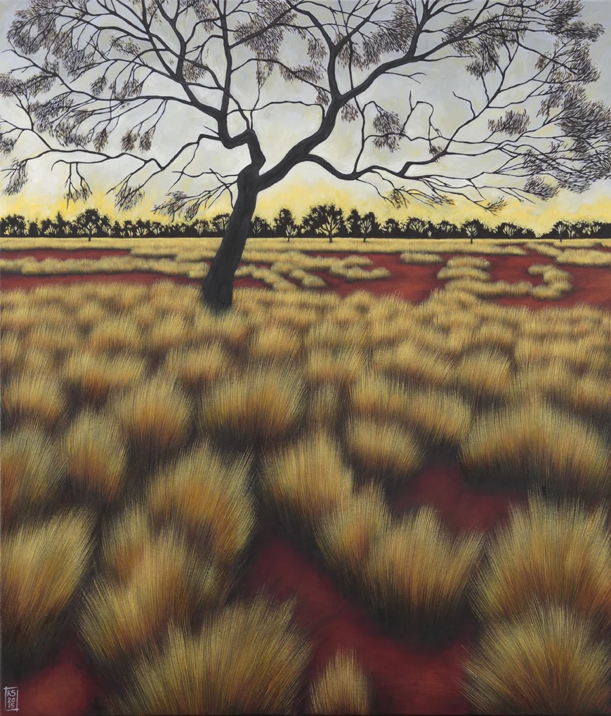Amoonguna Sunset