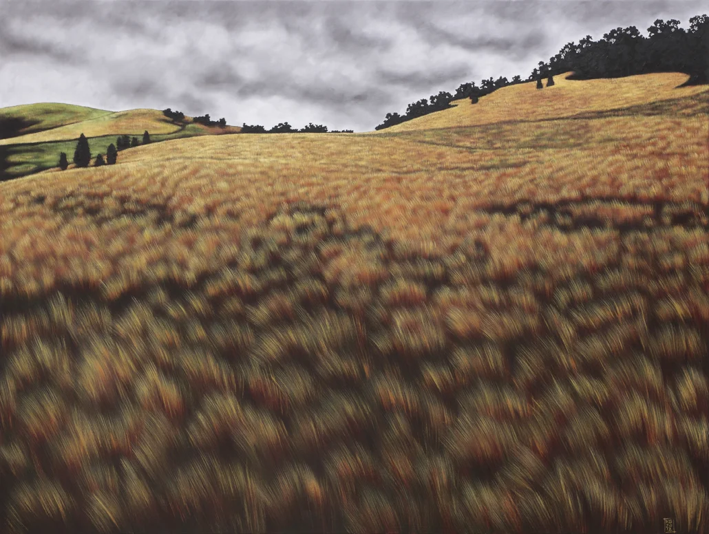 Pyrenees landscape I - Saban's paddock at Mrangalli