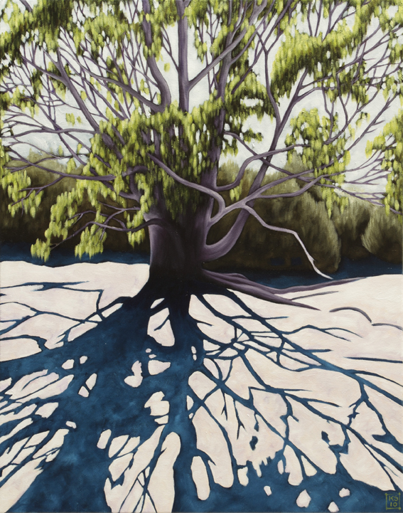 The Tree Shadow