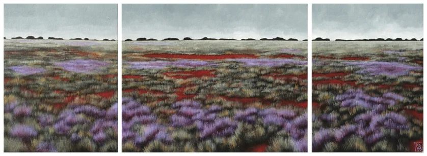 Tibooburra landscape IV