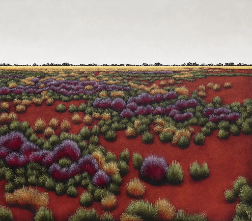 Tibooburra landscape VII - Salvation Jane