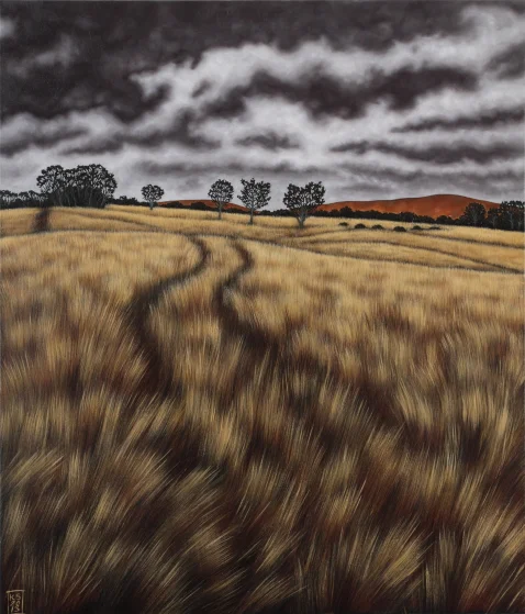 Pyrenees Landscape V - the track