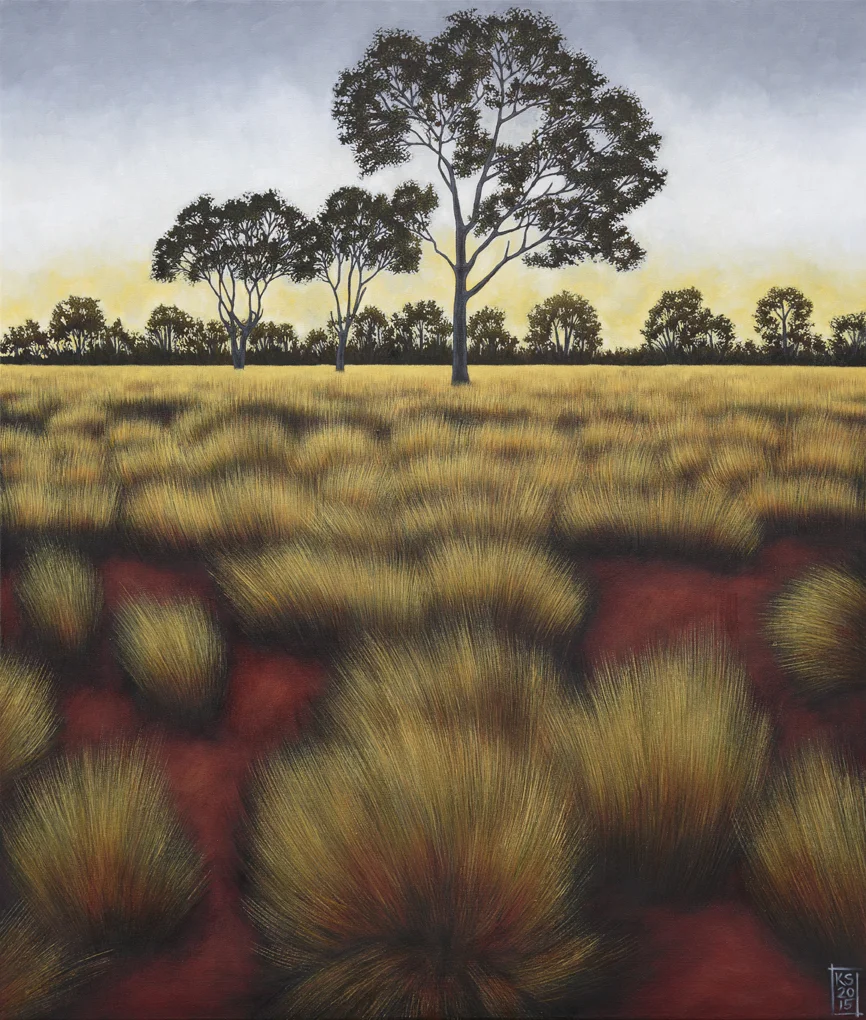 Amoonguna Tree