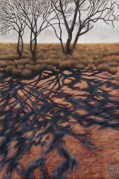 Ilparpa Tree shadow III
