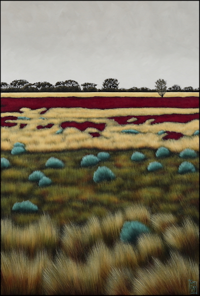 Tibooburra landscape VIII