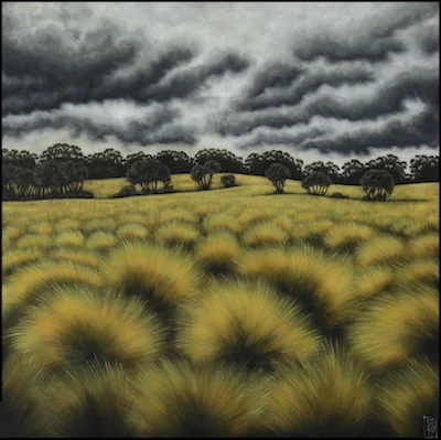 Tasmania landscape VI