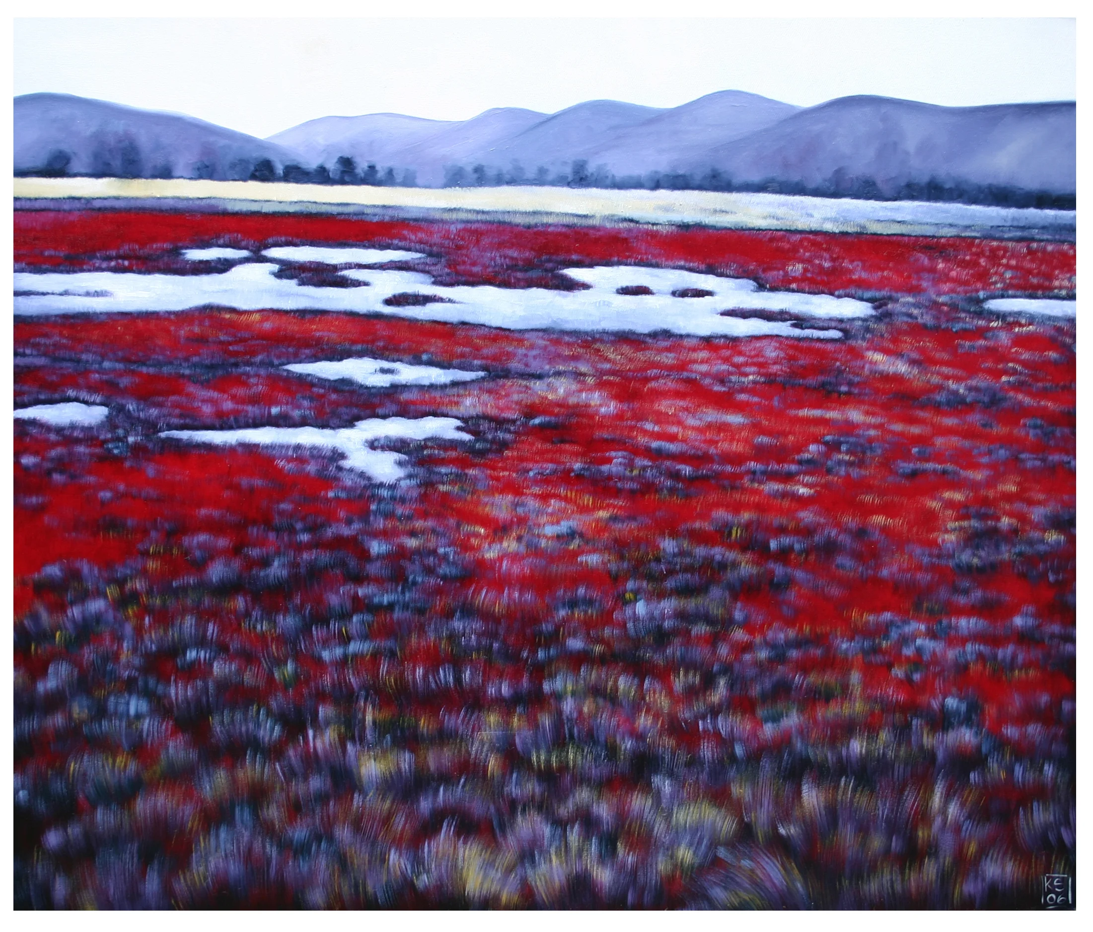 View of a landscape #I