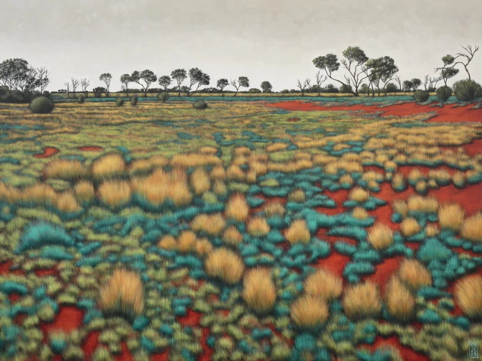 Coondambo Landscape I-web.JPG