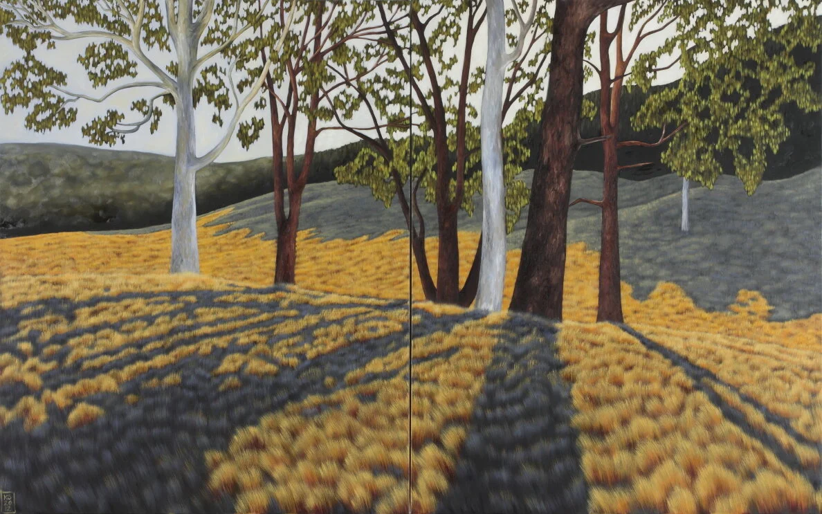 Pyrenees Landscape IV- Beyond Croaker's Dam 