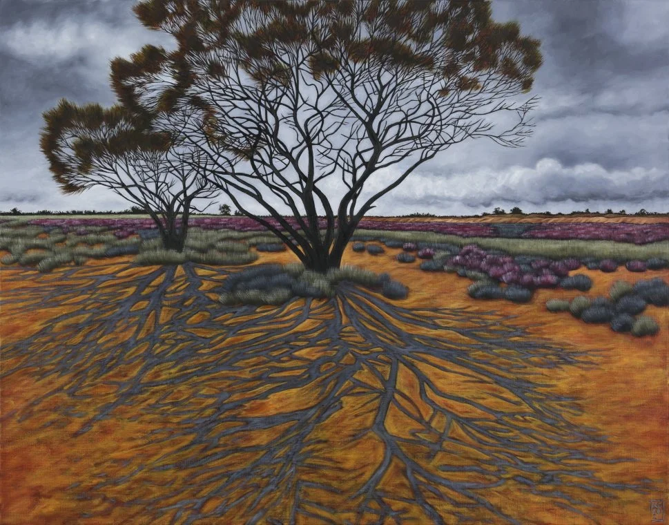 Lake Gilles Tree Shadows