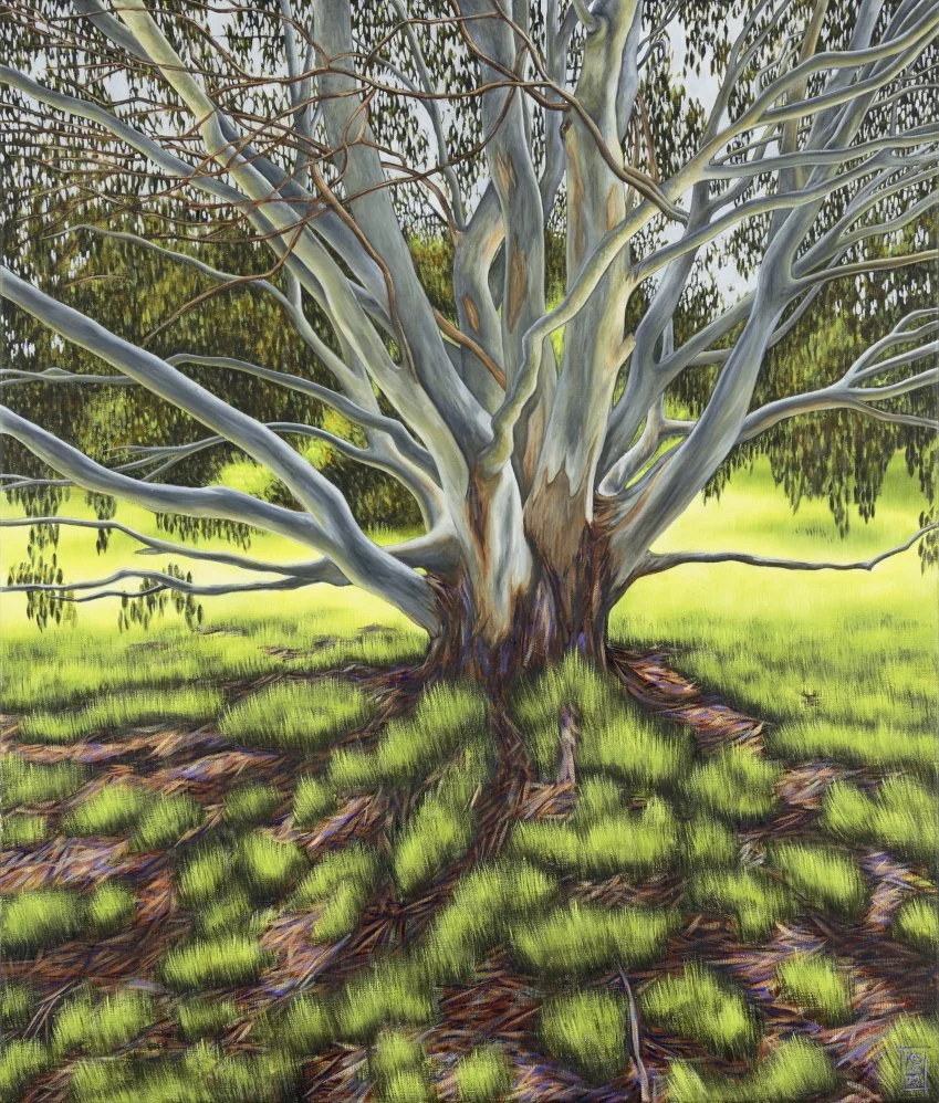 Winter Shadow in Royal Park:web.JPG