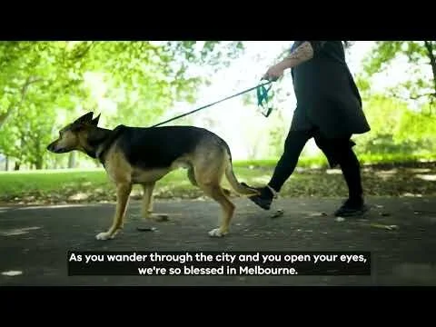 Transporting Arts - Tram Stop 11