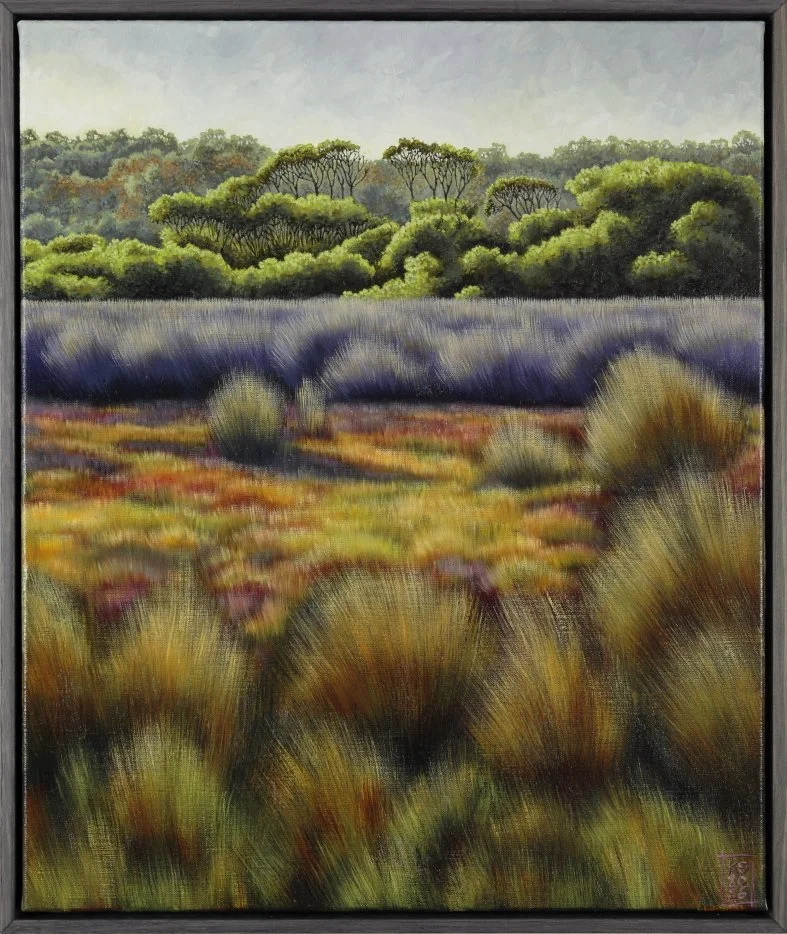 Merimbula Landscape #3