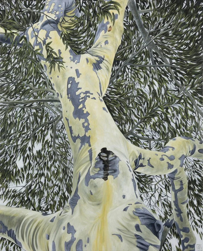Arbor I