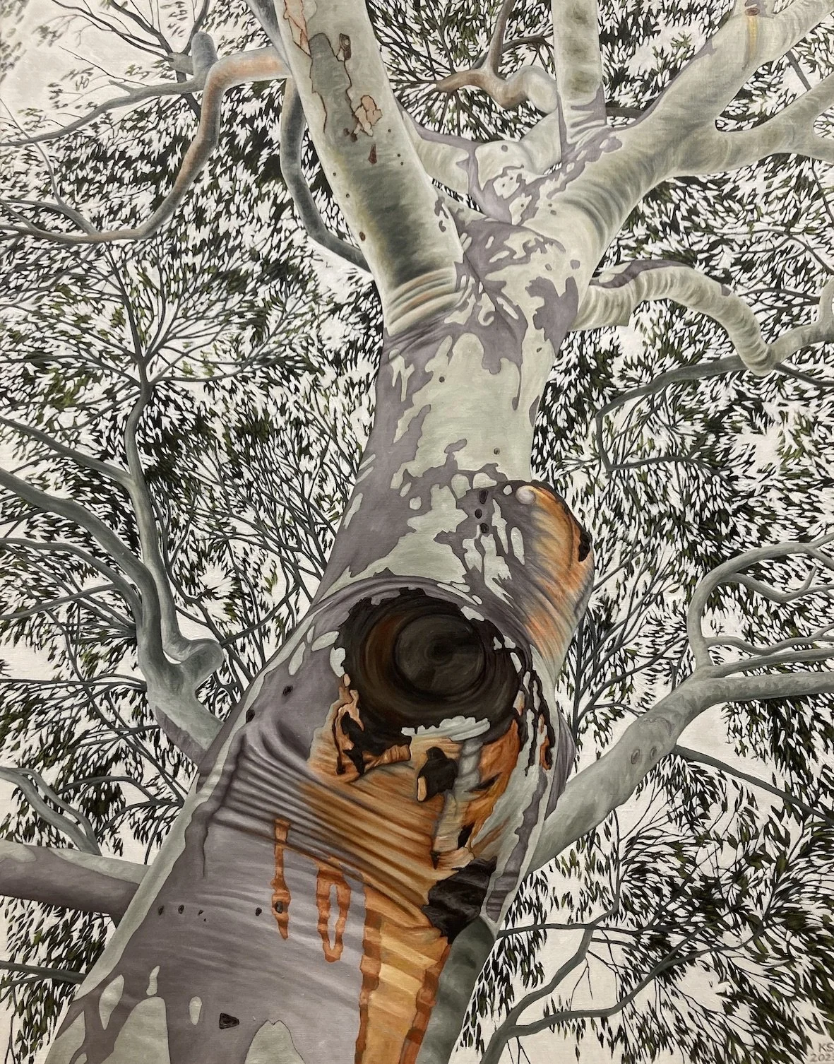 Arbor #3